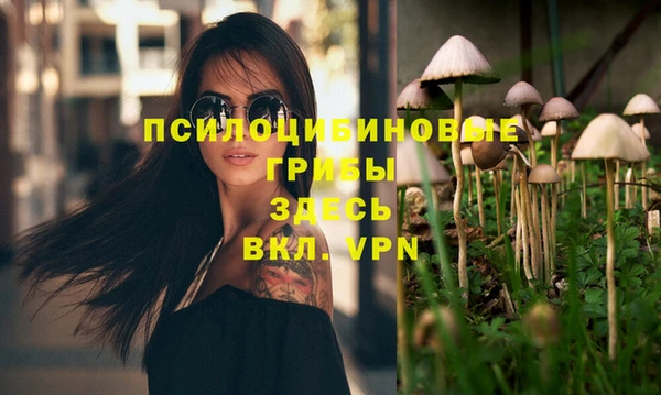 2c-b Лиски
