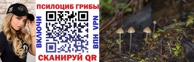 Галлюциногенные грибы Psilocybine cubensis  Купить  Скопин 